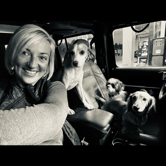 Meet your Posher, Posh - Picture 2 of 2